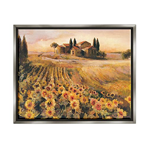 ac-447 Gray Frame Floating Canvas
