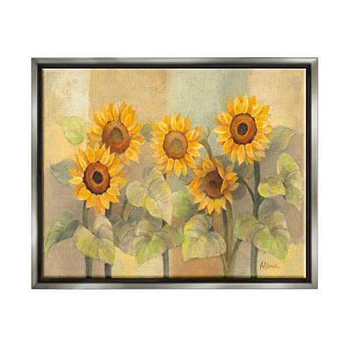 ac-623 Gray Frame Floating Canvas