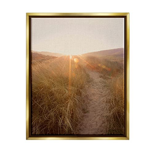 ai-458 Gold Frame Floating Canvas