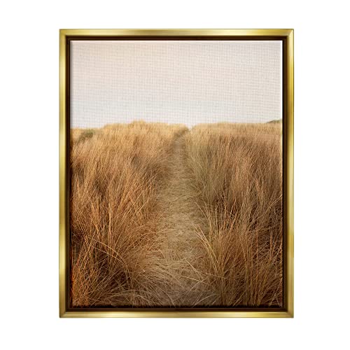 ai-459 Gold Frame Floating Canvas