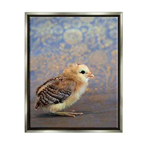 Tiny Baby Bird Chick Patterned Botanical Backdrop Gray Floating Frame