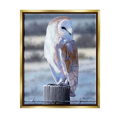 Serene Barn Owl Perched Snow Dusted Fence Gold Floating Frame