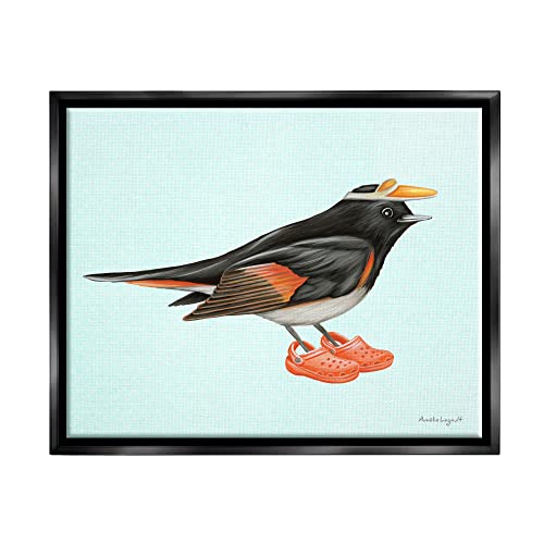 Black Orange Bird Wearing Rubber Clogs Visor Black Floating Frame