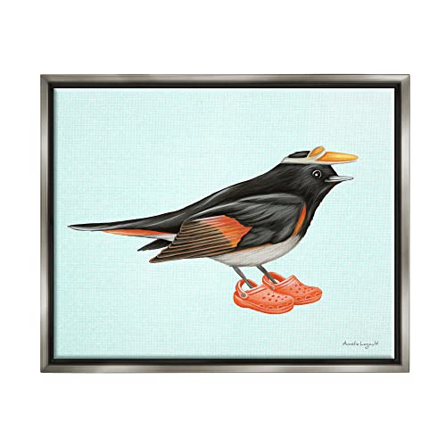 Black Orange Bird Wearing Rubber Clogs Visor Gray Floating Frame