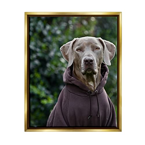 Labrador Dog Wearing Sweatshirt Hoodie Detailed Photography Gold Floating Frame