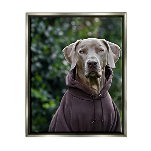 Labrador Dog Wearing Sweatshirt Hoodie Detailed Photography Gray Floating Frame