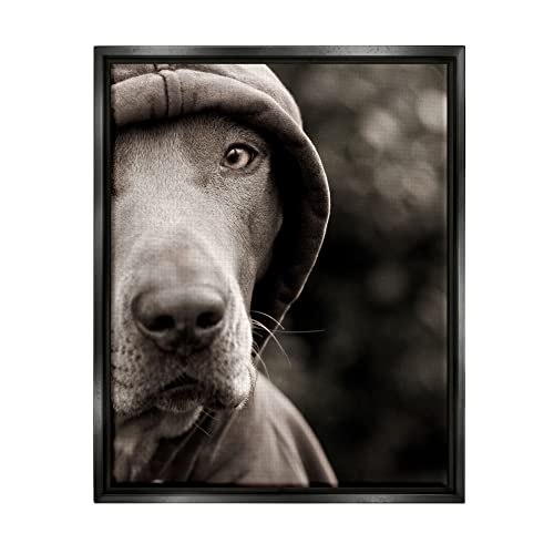 Dog Wearing Hooded Sweater Close-Up Monochrome Photography Black Floating Frame