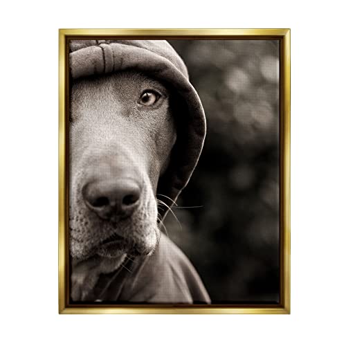 Dog Wearing Hooded Sweater Close-Up Monochrome Photography Gold Floating Frame