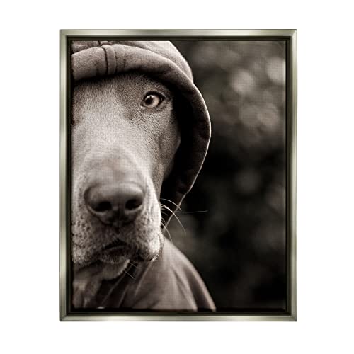 Dog Wearing Hooded Sweater Close-Up Monochrome Photography Gray Floating Frame