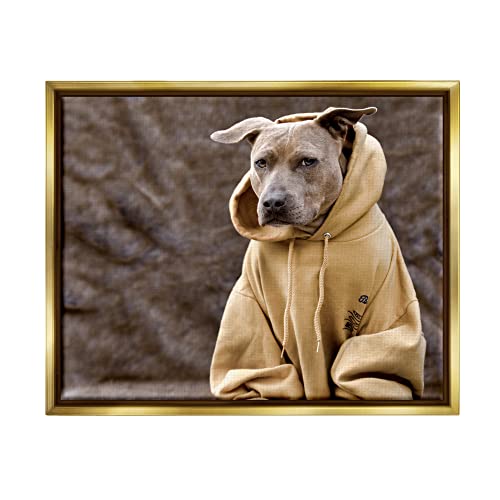 Beautiful Dog Wearing Cozy Yellow Hoodie Photography Gold Floating Frame