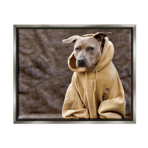 Beautiful Dog Wearing Cozy Yellow Hoodie Photography Gray Floating Frame