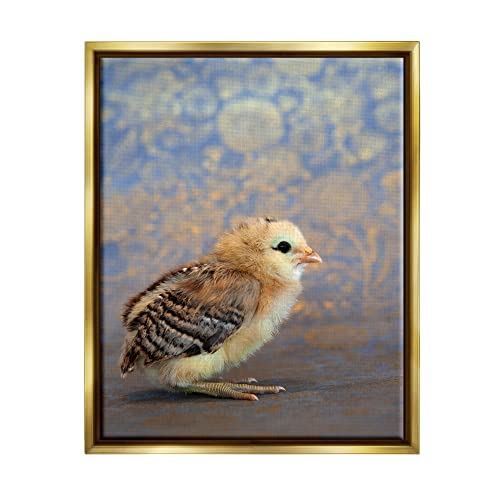 Tiny Baby Bird Chick Patterned Botanical Backdrop Gold Floating Frame