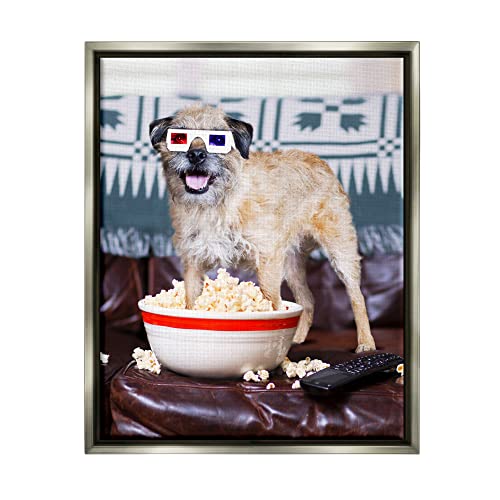 Dog 3-D Movie Night Couch Snacking Popcorn Gray Floating Frame