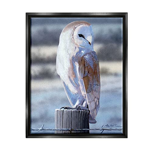 Serene Barn Owl Perched Snow Dusted Fence Black Floating Frame