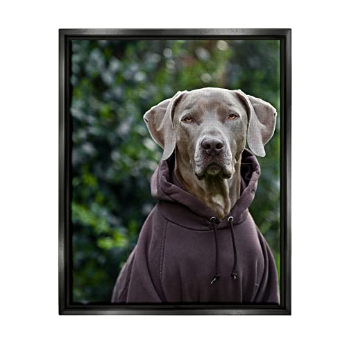 Labrador Dog Wearing Sweatshirt Hoodie Detailed Photography Black Floating Frame