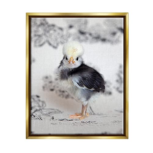 Calm Baby Bird Chick Gazing Close-Up Photography Pattern Gold Floating Frame