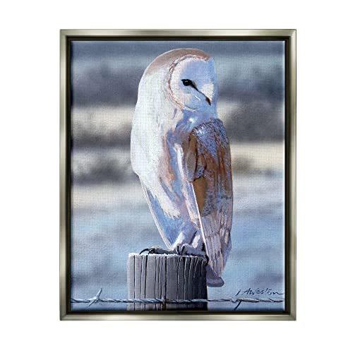 Serene Barn Owl Perched Snow Dusted Fence Gray Floating Frame