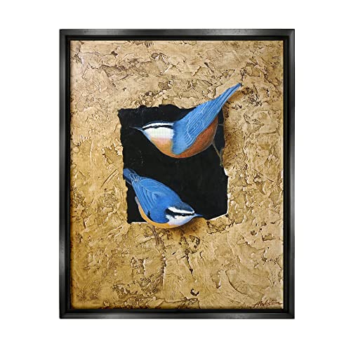 Blue Bird Pair Perched Rough Layered Structure Black Floating Frame