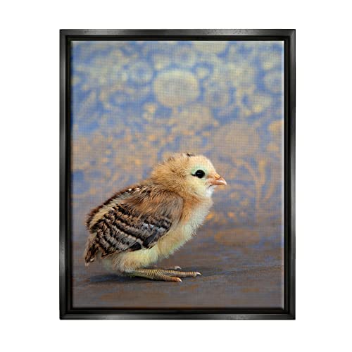 Tiny Baby Bird Chick Patterned Botanical Backdrop Black Floating Frame