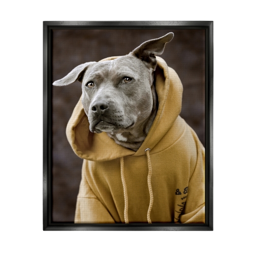 Smiling Labrador Dog Wearing Hooded Yellow Sweatshirt Black Floating Frame