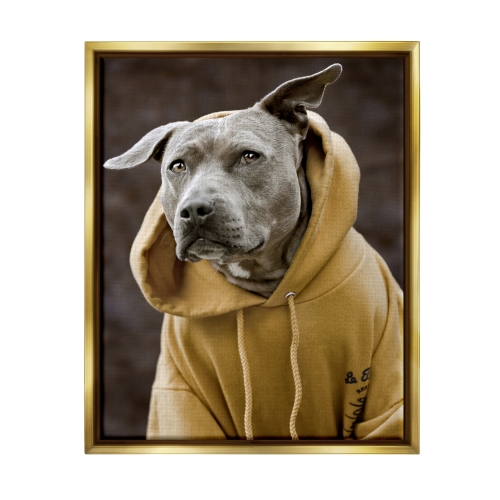 Smiling Labrador Dog Wearing Hooded Yellow Sweatshirt Gold Floating Frame