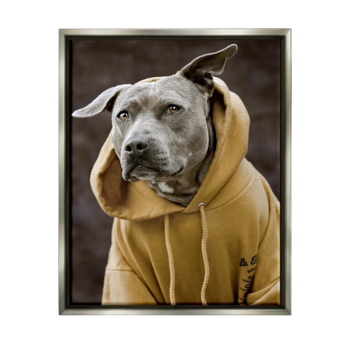 Smiling Labrador Dog Wearing Hooded Yellow Sweatshirt Gray Floating Frame